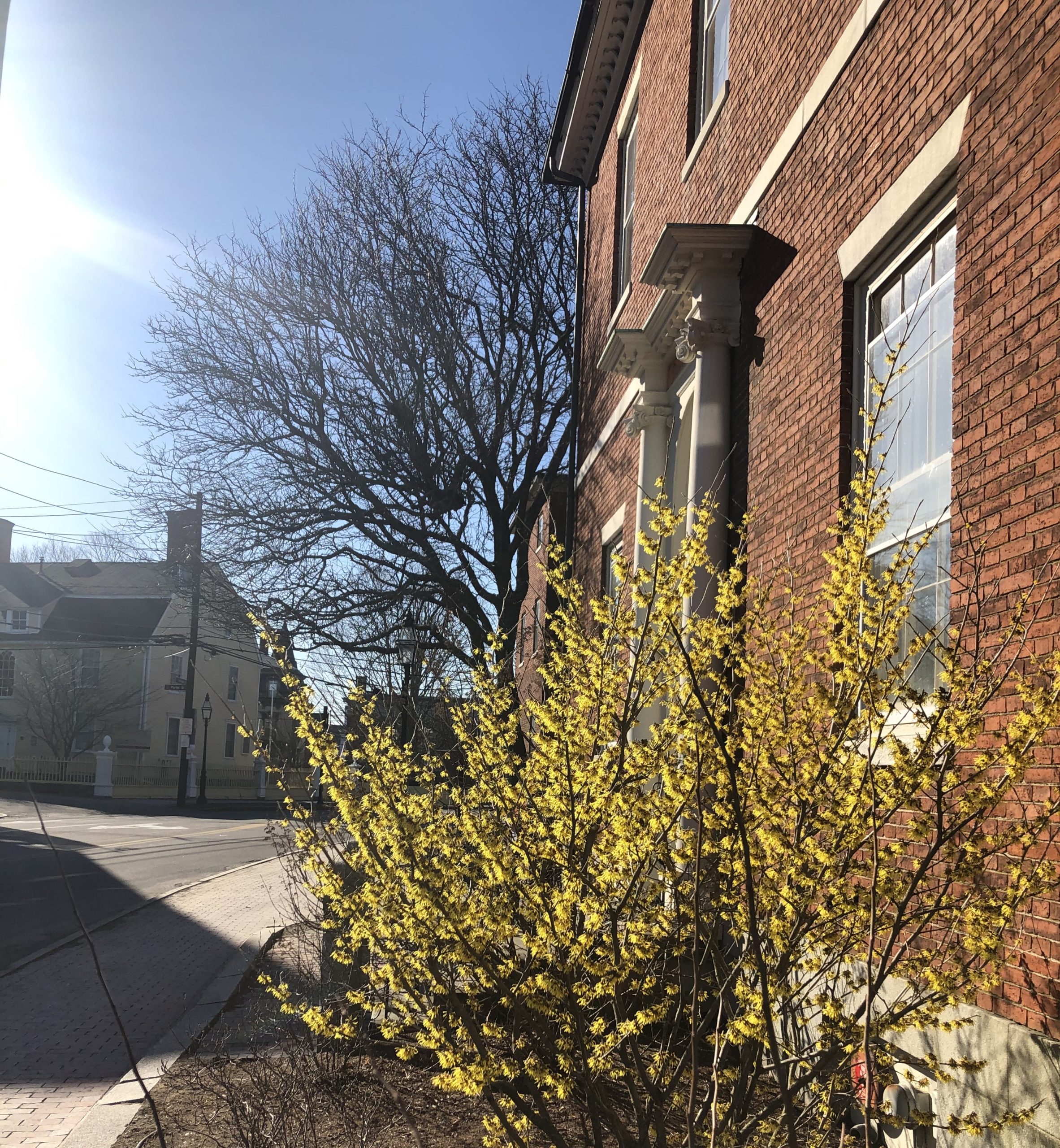 Spring Is Here, and Portsmouth Historical Society is Open!