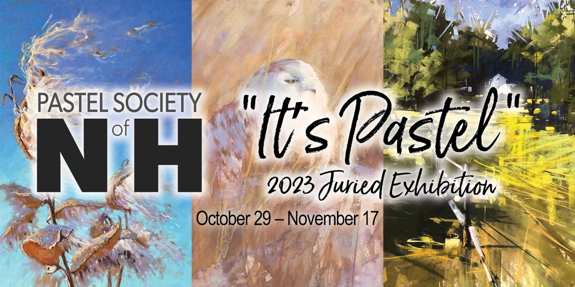 NH Pastel Society "It's Pastel" 2023 Juried Exhibition on display OCt 29 – Nov 17. Background has three pastel artworks. A blue sky with a cotton plant blowing in the wind, a white snowy owl nested in a field of dried grasses, and a white barn off in the distance beyond a large green field.